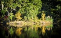 Pond